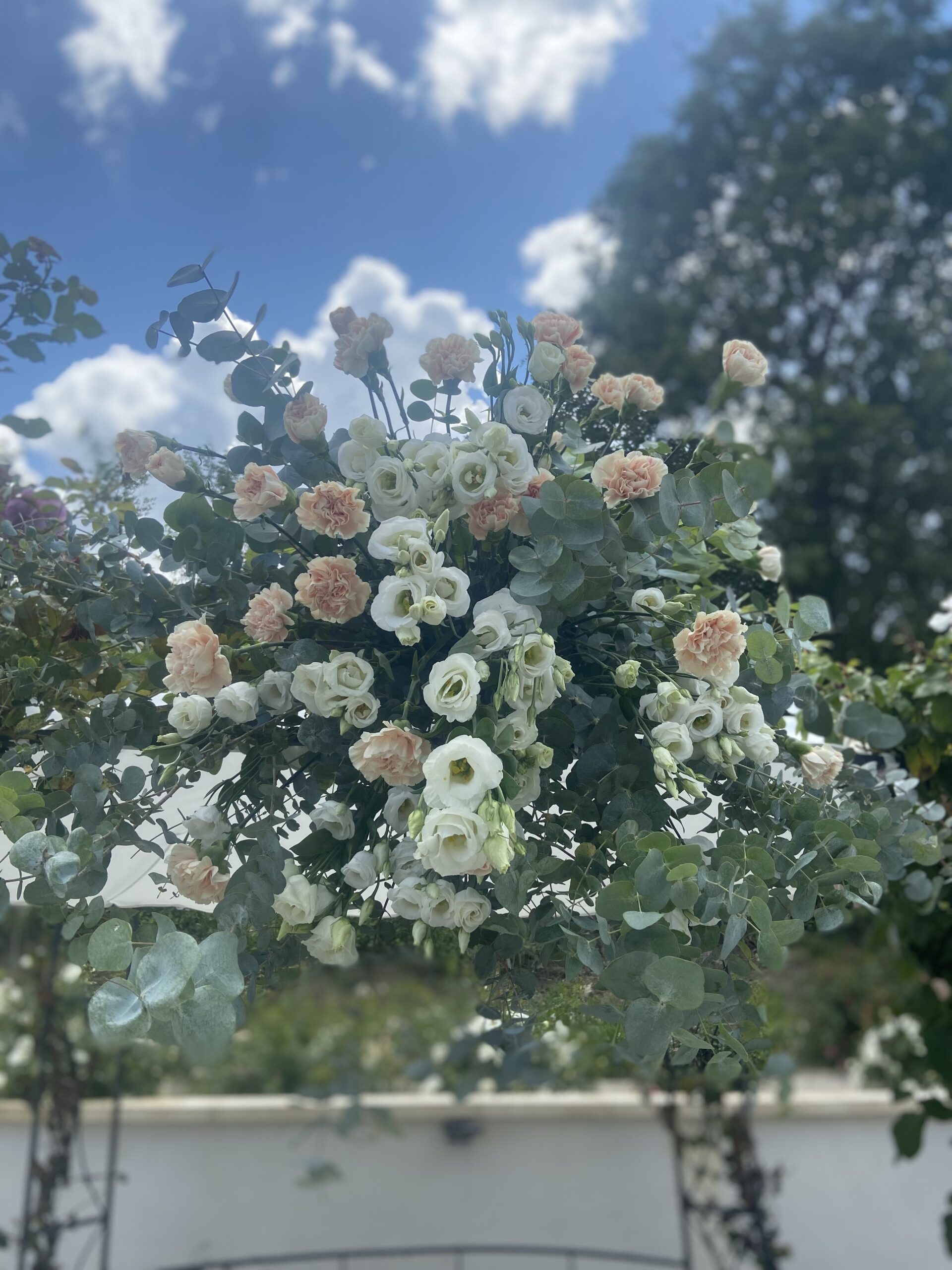 Composition florale Roses & Oeuillets