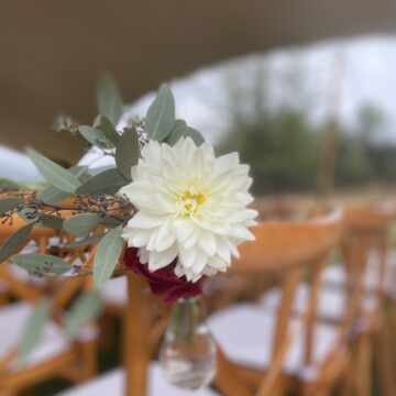 Allée de cérémonie si tu l'oses