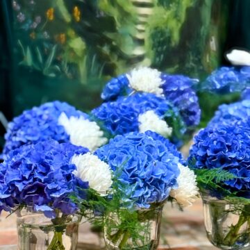 Allée d'hortensias bleu si tu l'oses